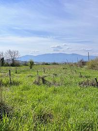 Ferentino terreno agricolo