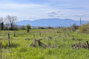 Ferentino terreno agricolo