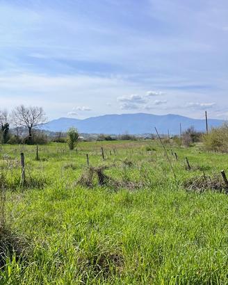 Ferentino terreno agricolo