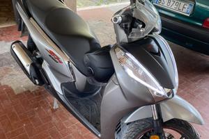 Sh 300 sport abs