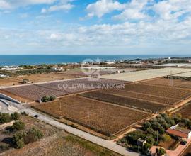 Terreno Edificabile - Bari