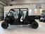 Immagine 7