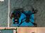 Immagine 1