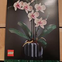 LEGO Orchid 10311 – Serie Botanical – Completo