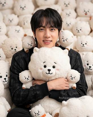 CUSCINI ORIGINALI  BTS   serie BT21