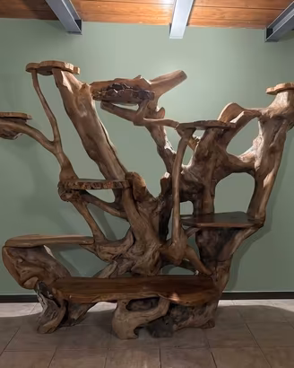 Magnifica Scultura in Radice di Legno Naturale
