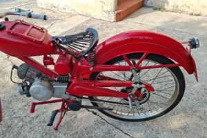 guzzino 65 Nsu Max 250