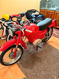 Motoguzzi zigolo 110