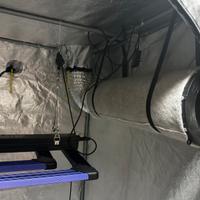GrowBox Completo