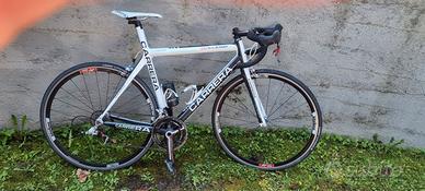 Bici carrera veleno carbonio