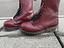 Immagine 6