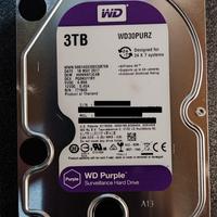 2 HDD Western Digital per videosorveglianza