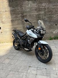 Triumph Tiger xrx 800