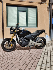 Honda hornet