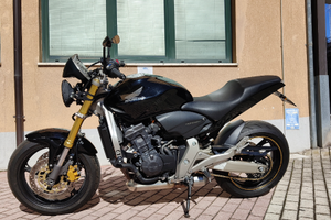 Honda hornet