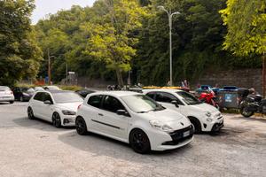 Clio rs 3 light cup