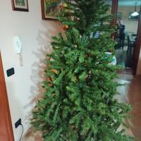 Albero 🌲 di Nata 30€