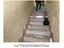 Immagine 8