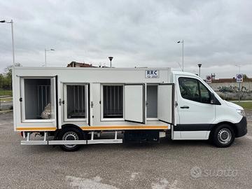 mercedes sprinter PATENTE B cella surgelati 8 port