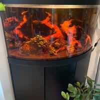 Acquario angolare Askoll Tenerif Visus 175 nero