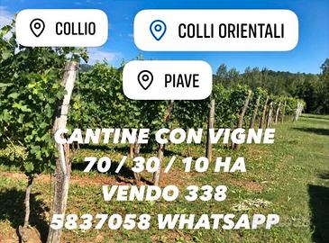 Agriturismo nel collio