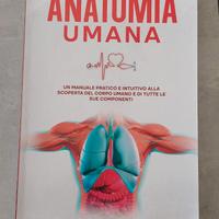 Anatomia Umana