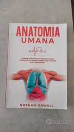 Anatomia Umana
