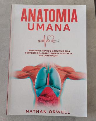 Anatomia Umana