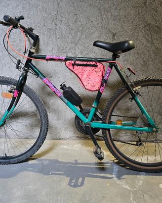 Mountain bike