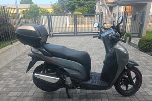 Sh 300 sport