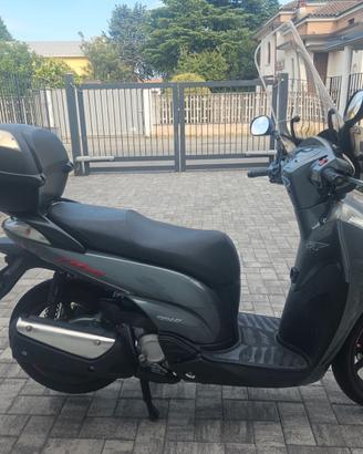 Sh 300 sport