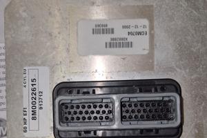 Centralina  60 cv mercury  efi  cod. 8M0022615 