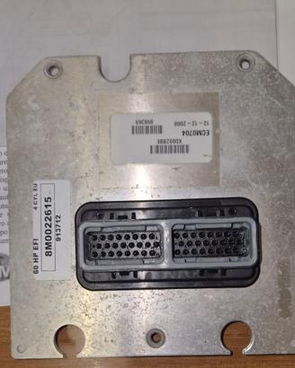 Centralina  60 cv mercury  efi  cod. 8M0022615 