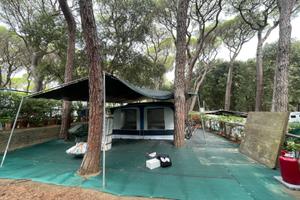 Roulotte Burstner Club 4 posti veranda e cucinotto