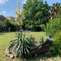 Il NOCE - Case vacanza