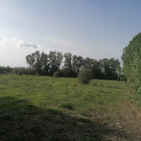 Terreno agricolo su SP60