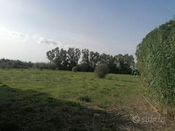 Terreno agricolo su SP60