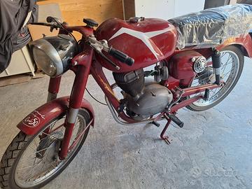 Capriolo d'epoca
