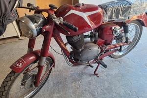 Capriolo d'epoca