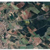 Terreno Agricolo Samassi [A4343669]