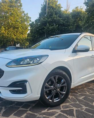 Ford Kuga 1.5 EcoBlue 120 CV aut. 2WD ST-Line Desi
