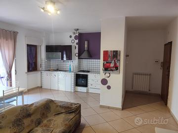 Casa  Colleferro centrale