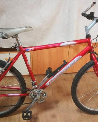 Mountain-bike