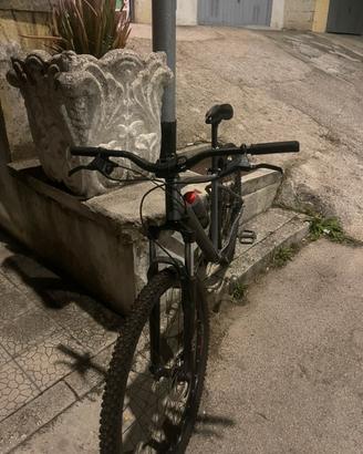rock rider