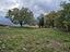 Immagine 12