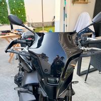 Cupolino + paraleve o paramani MT09