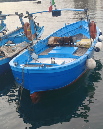 Gozzo Aprea da pesca con licenza attiva