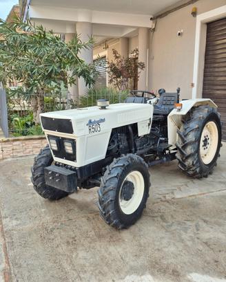 Lamborghini R 503 S dt Frutteto,50cv,4300ore,idrog