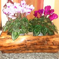 Fioriere in legno