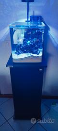 acquario 